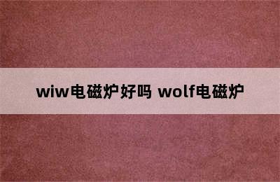 wiw电磁炉好吗 wolf电磁炉